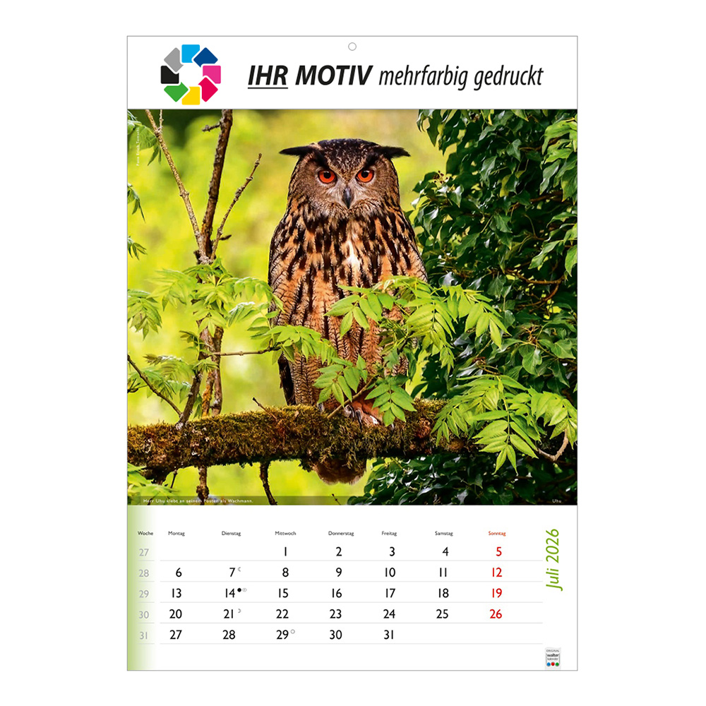 Bildkalender 