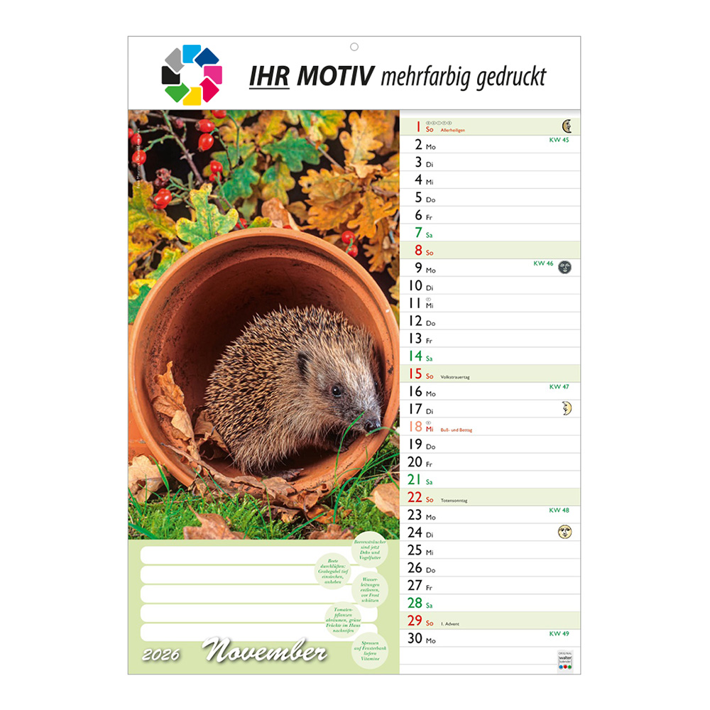 Bildkalender 