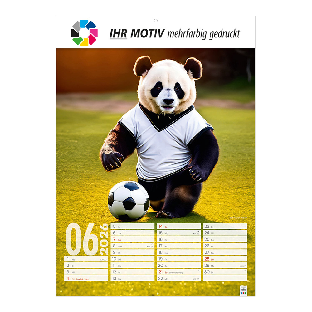 Bildkalender 